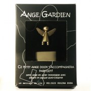 ange-en-inox-aimante_2