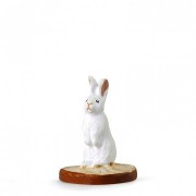 lapin-blanc